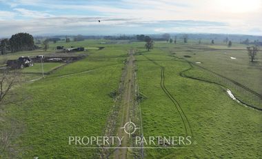 Parcelas 5.000 metros Graneros de Pilauco V