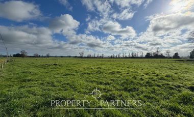 Parcelas 5.000 metros Graneros de Pilauco V