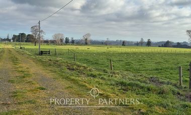 Parcelas 5.000 metros Graneros de Pilauco V