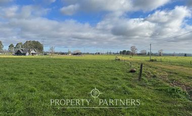 Parcelas 5.000 metros Graneros de Pilauco V