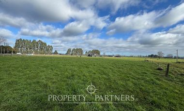 Parcelas 5.000 metros Graneros de Pilauco V