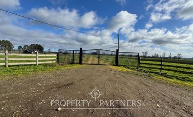 Parcelas 5.000 metros Graneros de Pilauco V