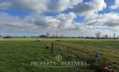 Parcelas 5.000 metros Graneros de Pilauco V