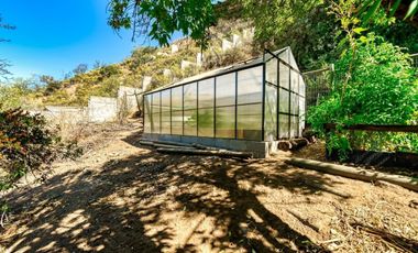 Chilena, con gran jardín formado, El Arrayán