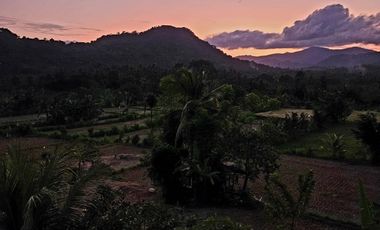 PENJUALAN CEPAT, NEGO KERAS PERLU DIJUAL SEGERA Resort Mewah