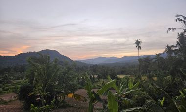 PENJUALAN CEPAT, NEGO KERAS PERLU DIJUAL SEGERA Resort Mewah