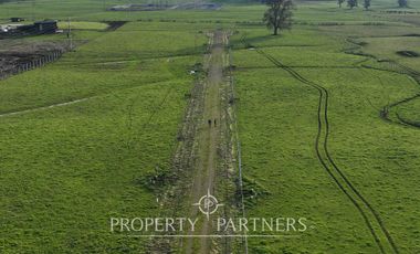 Parcelas en Pilauco con gran Plusvalia