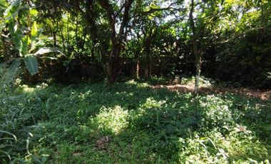 Jual Rumah jalan raya lawang gintung Bogor batutulis