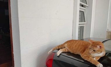 Rumah bagus Pesona Ciwastra Indah Bandung