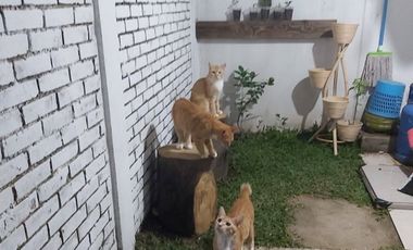 Rumah bagus Pesona Ciwastra Indah Bandung