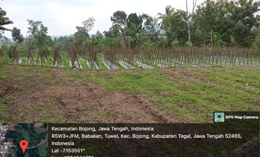 Tanah Dekat Objek wisata Guci Tegal Jawa Tengah