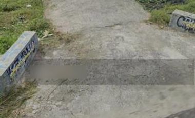 Tanah sawah, Desa Pendowoharjo