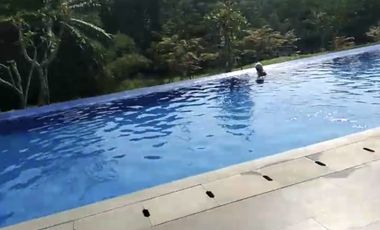 APARTEMEN ROYAL TAJUR HEIGHT, BOGOR 2 K TIDUR. PEMANDANGAN GUNUNG