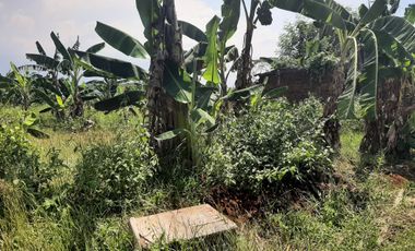 Aset BTN Semarang. Tanah di Perum Citra Harmoni, Rowobelang, Batang