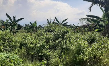 Aset BTN Semarang. Tanah di Perum Citra Harmoni, Rowobelang, Batang