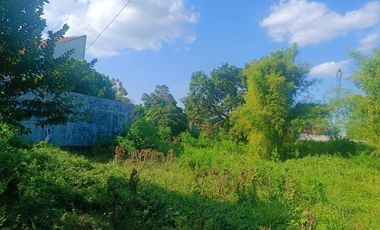 Kavling Tanah JL.A.Yani Super Strategies Pusat Kab Pemalang dkt Alun2