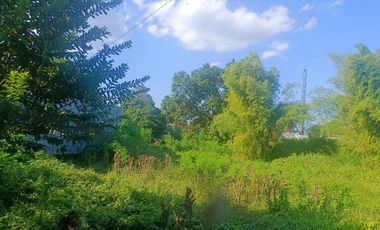 Kavling Tanah JL.A.Yani Super Strategies Pusat Kab Pemalang dkt Alun2