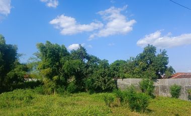 Kavling Tanah JL.A.Yani Super Strategies Pusat Kab Pemalang dkt Alun2