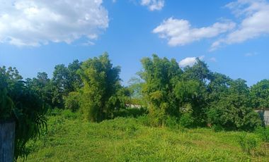 Kavling Tanah JL.A.Yani Super Strategies Pusat Kab Pemalang dkt Alun2