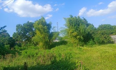 Kavling Tanah Strategis Pusat Kota dkt Alun2 JL.A.Yani Kab Pemalang