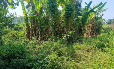 Kavling Tanah Strategis Pusat Kota dkt Alun2 JL.A.Yani Kab Pemalang