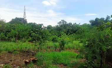 Disewakan Tanah Kosong Luas 3.500 m² - Lokasi Strategis di Depok!