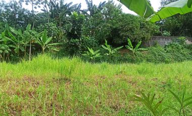 Disewakan Tanah Kosong Luas 3.500 m² - Lokasi Strategis di Depok!