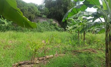 Disewakan Tanah Kosong Luas 3.500 m² - Lokasi Strategis di Depok!