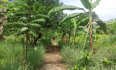 Disewakan Tanah Kosong Luas 3.500 m² - Lokasi Strategis di Depok!