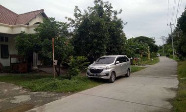 Dijual rumah luas dan asri di grobogan