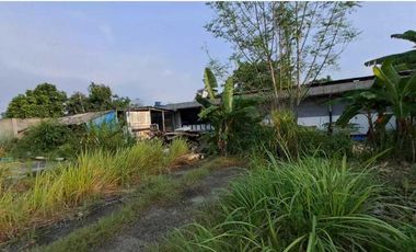 Disewakan Tanah Untuk Gudang Pinggir Jalan Raya Kecamatan Pinang AlSut