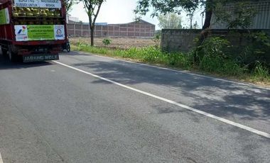 Gudang balongpanggang gresik