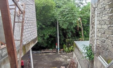 Rumah semi villa view sungai di penatih