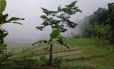 Dijual Tanah Sawah View Perbukitan Menoreh