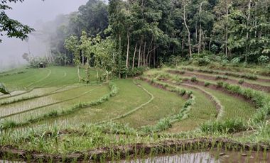 Dijual Tanah Sawah View Perbukitan Menoreh