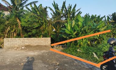 Disewakan tanah dilokasi villa dekat pantai kedungu