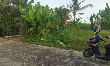 Disewakan tanah dilokasi villa dekat pantai kedungu