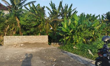 Disewakan tanah dilokasi villa dekat pantai kedungu