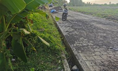 Disewakan tanah dilokasi villa dekat pantai kedungu