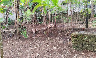 Jual Rumah Dan Kebun Di Wanayasa Purwakarta