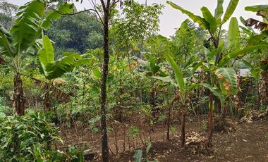 Jual Rumah Dan Kebun Di Wanayasa Purwakarta