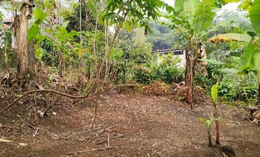 Jual Rumah Dan Kebun Di Wanayasa Purwakarta