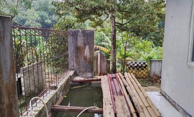 Jual Rumah Dan Kebun Di Wanayasa Purwakarta