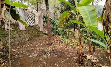 Jual Rumah Dan Kebun Di Wanayasa Purwakarta