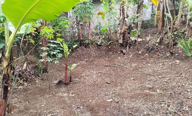 Jual Rumah Dan Kebun Di Wanayasa Purwakarta