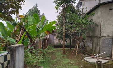Jual Rumah Dan Kebun Di Wanayasa Purwakarta