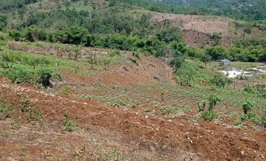 dijual lahan luas dekat stasiun Whoosh Padalarang