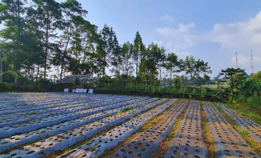 Jual Tanah View Danau Dan Gunung Di Bandung