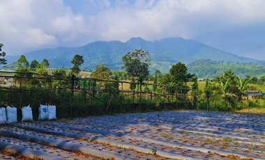Jual Tanah View Danau Dan Gunung Di Bandung