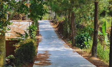 Jual Tanah View Danau Dan Gunung Di Bandung